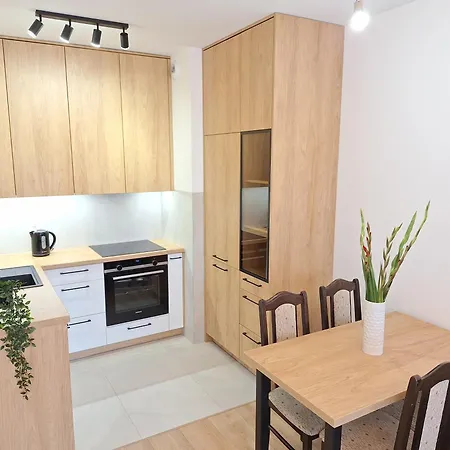 Loft 24 - Prywatny Parking Nawet Na Samochody Dostawcze, F-ra Vat Apartment Szczecin