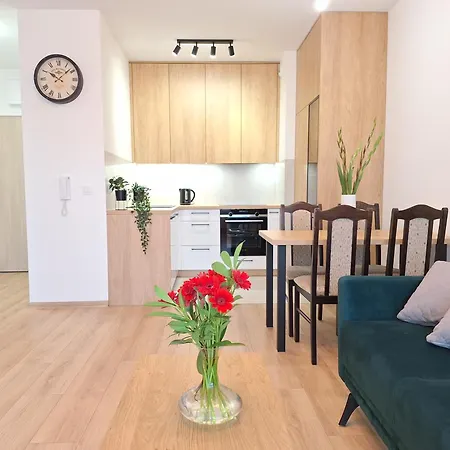 Apartment Loft 24 - Prywatny Parking Nawet Na Samochody Dostawcze, F-ra Vat Szczecin